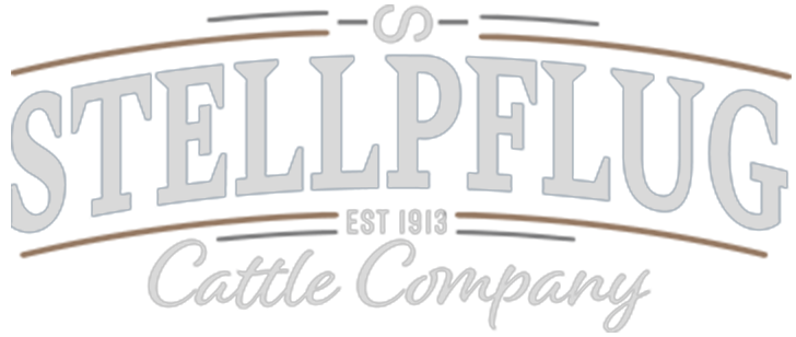 Stellpflug Cattle Company