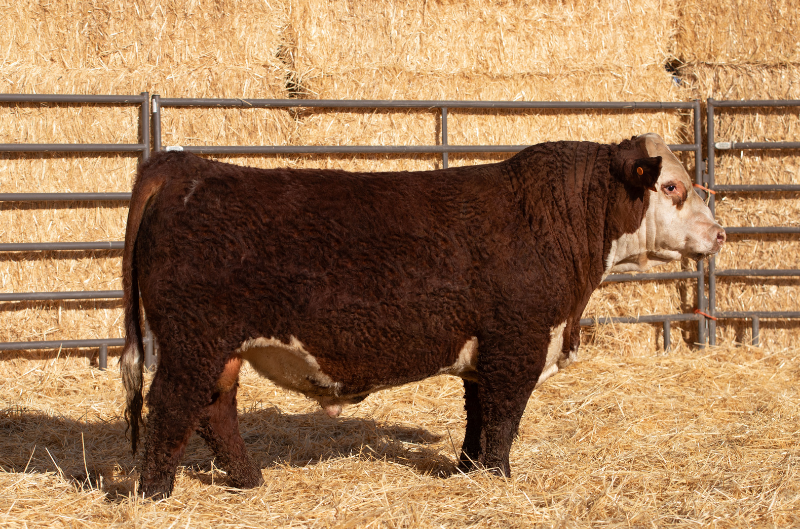 S CANYON 33275 ET